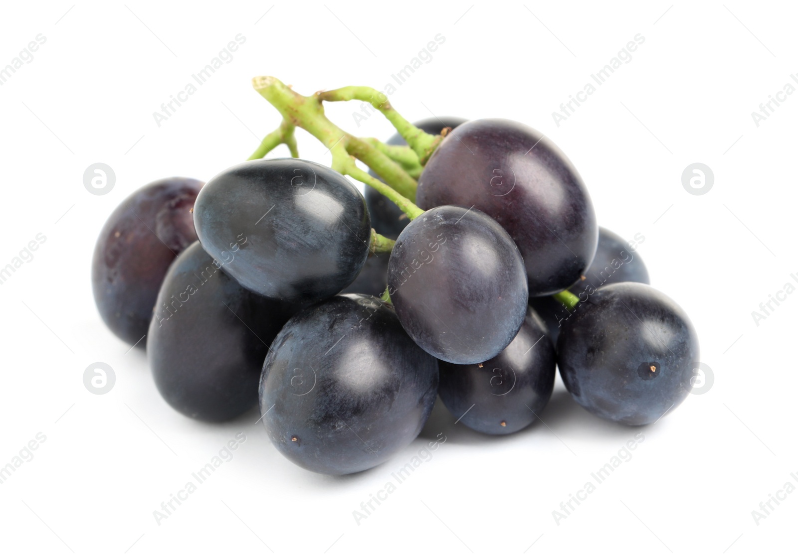 Photo of Delicious ripe purple grapes isolated on white