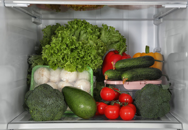 Different fresh products on shelf in refrigerator