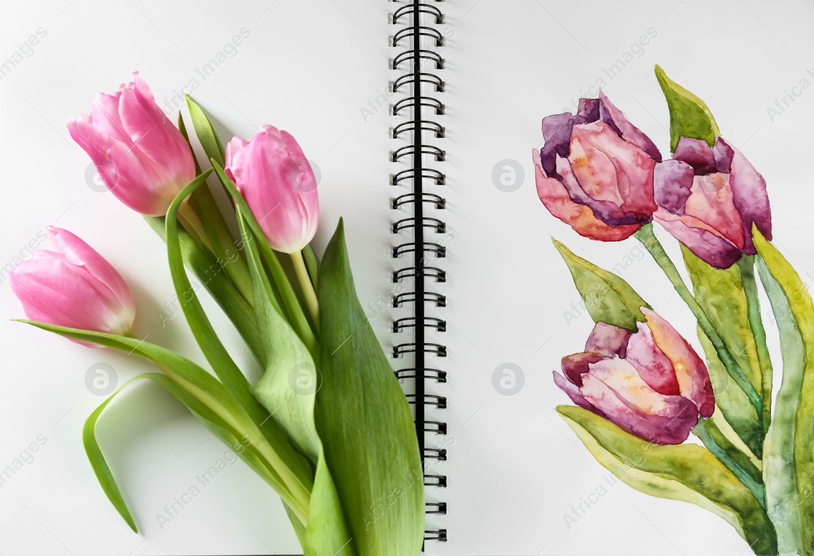 Photo of Painting of tulips in sketchbook and flowers, top view