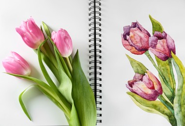 Painting of tulips in sketchbook and flowers, top view