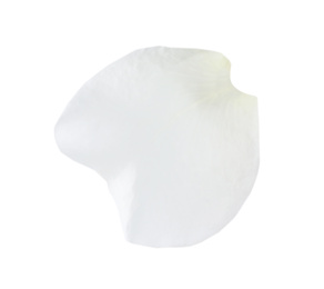 Photo of Fresh light rose petal isolated on white