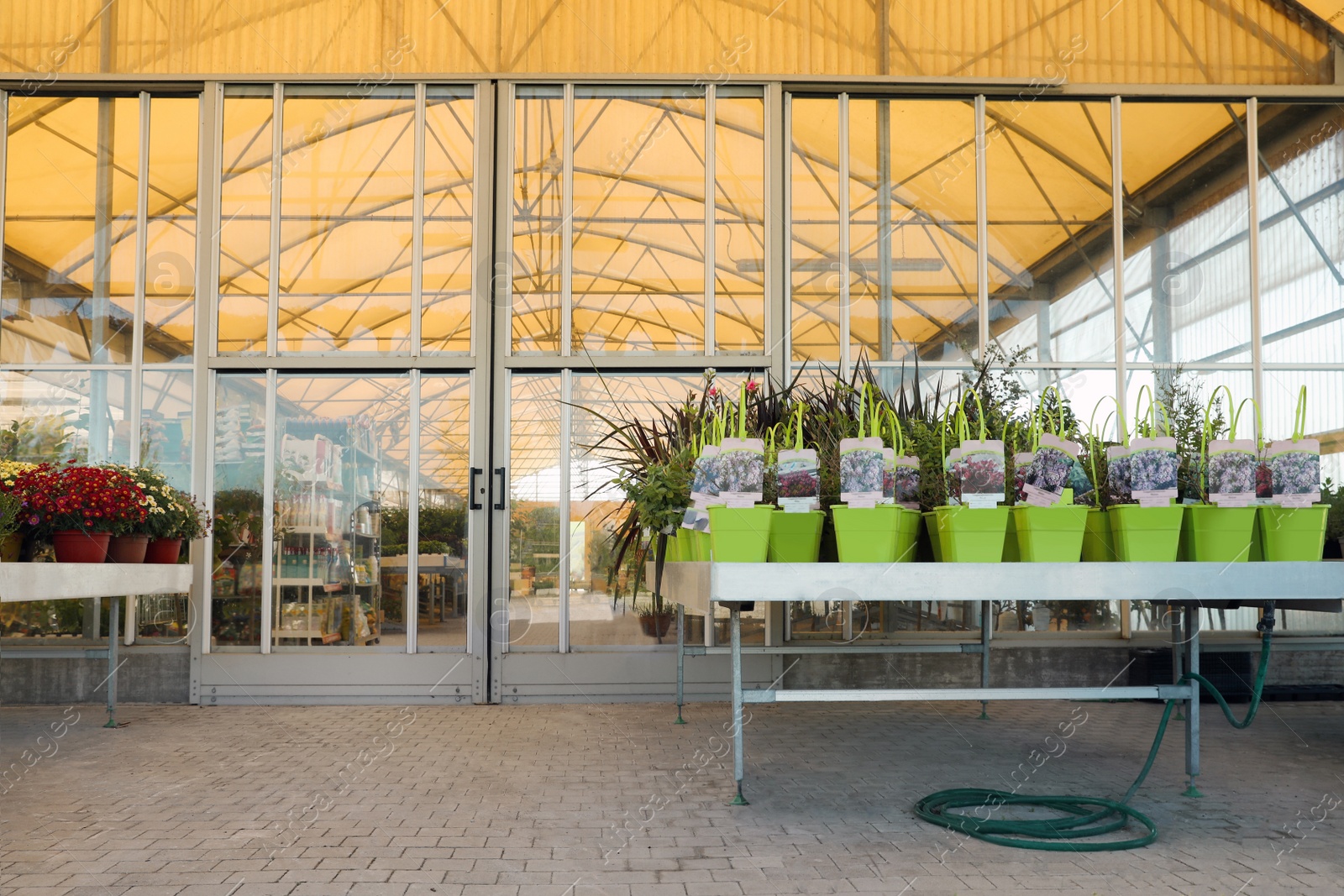 Photo of Many different potted plants near garden center