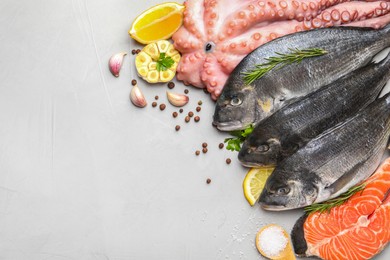 Flat lay composition with fresh raw dorado fish and different seafood, spices on light grey table. Space for text