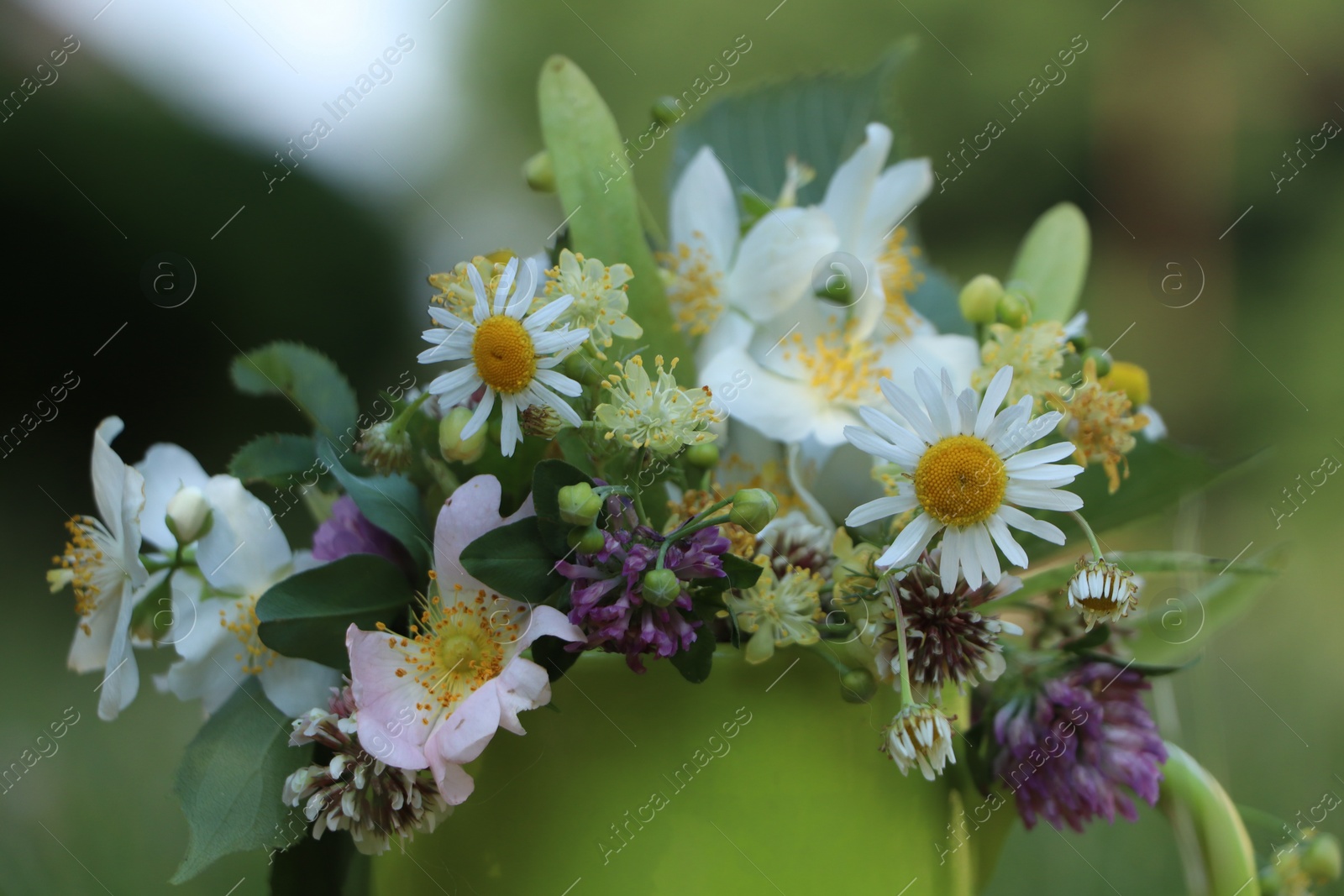 Photo of Green cup with different wildflowers and herbs on blurred background, closeup