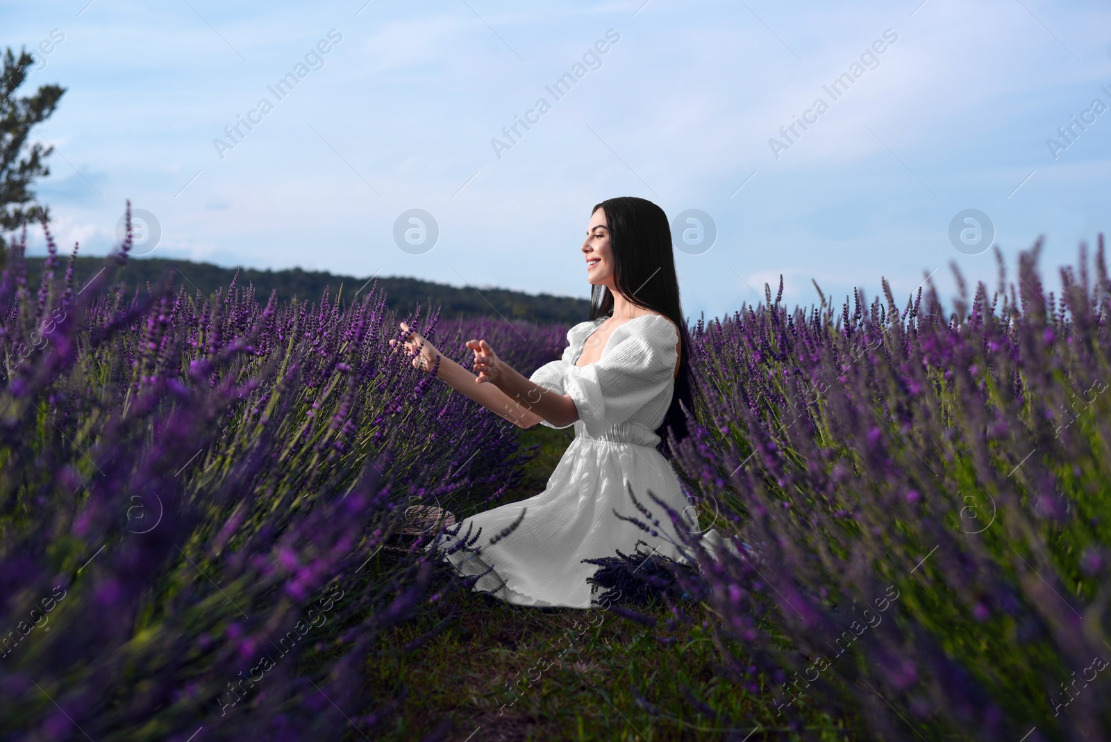 Photo of Beautiful young woman sitting in lavender field