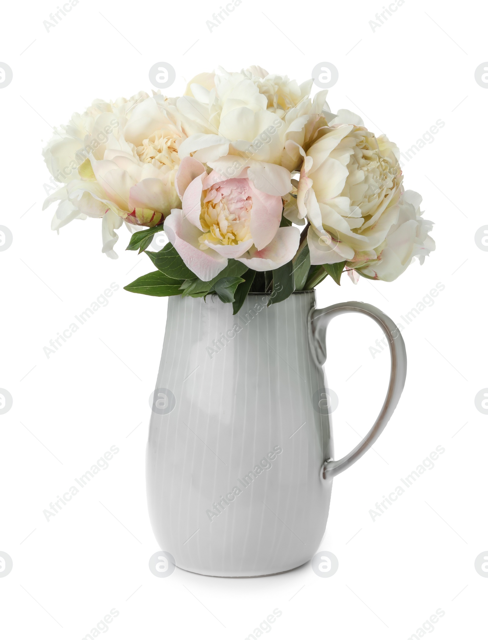 Photo of Beautiful peonies in vase isolated on white