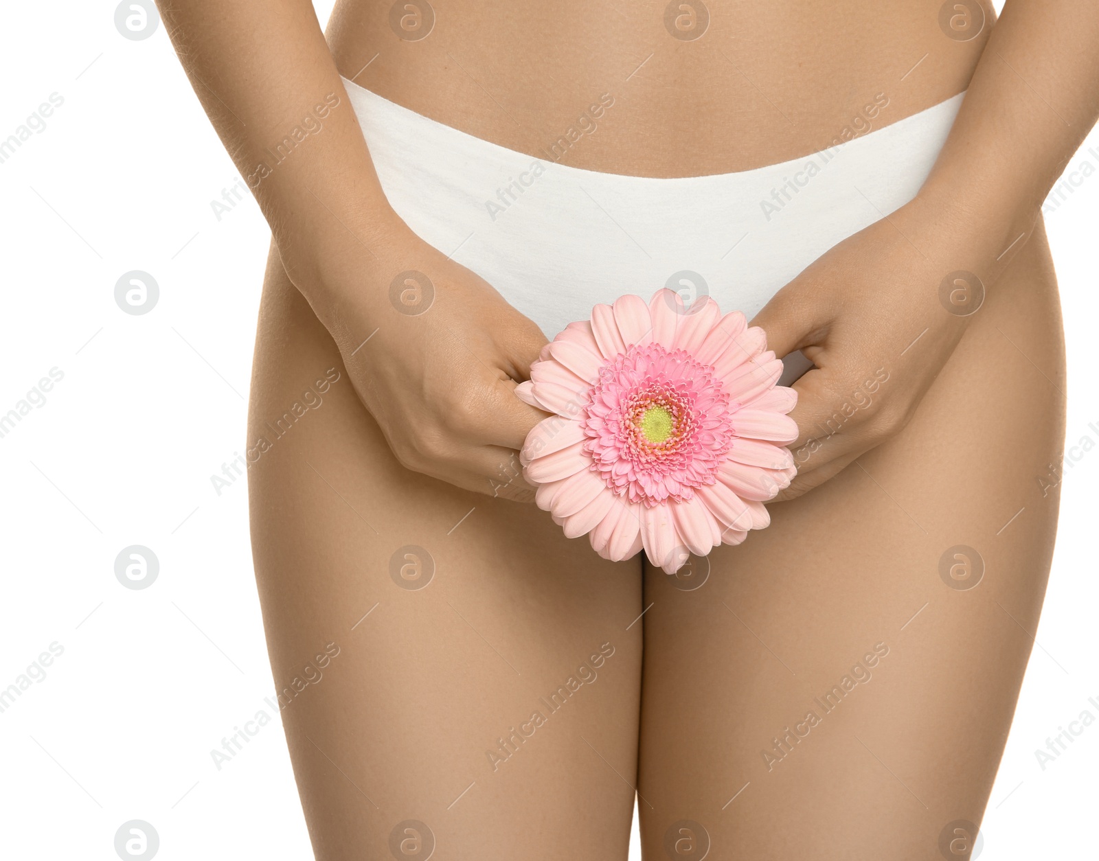 Photo of Gynecology. Woman in underwear with gerbera flower on white background, closeup