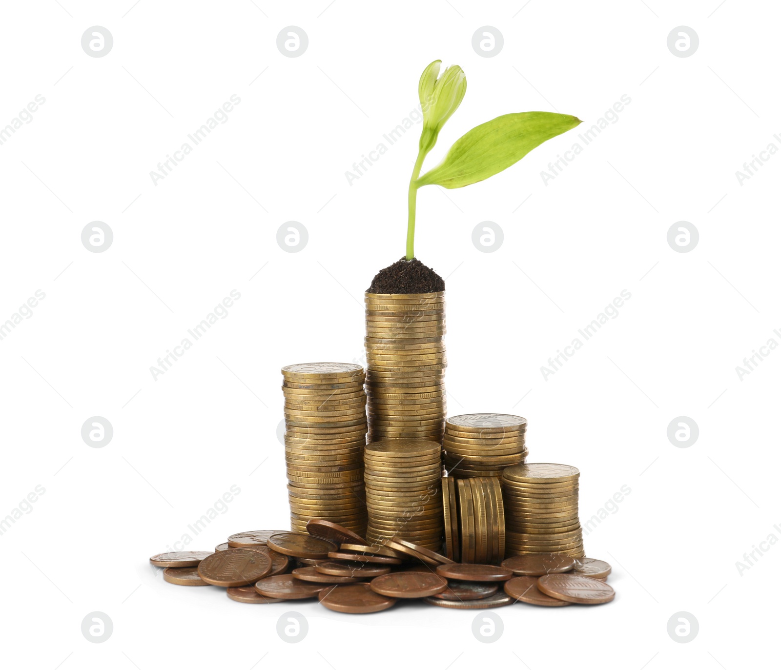 Photo of Stacks of coins and green plant on white background. Investment concept