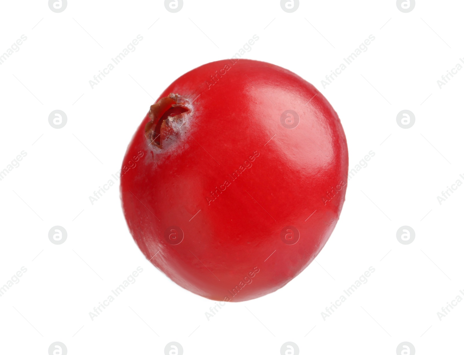 Photo of One fresh ripe cranberry isolated on white
