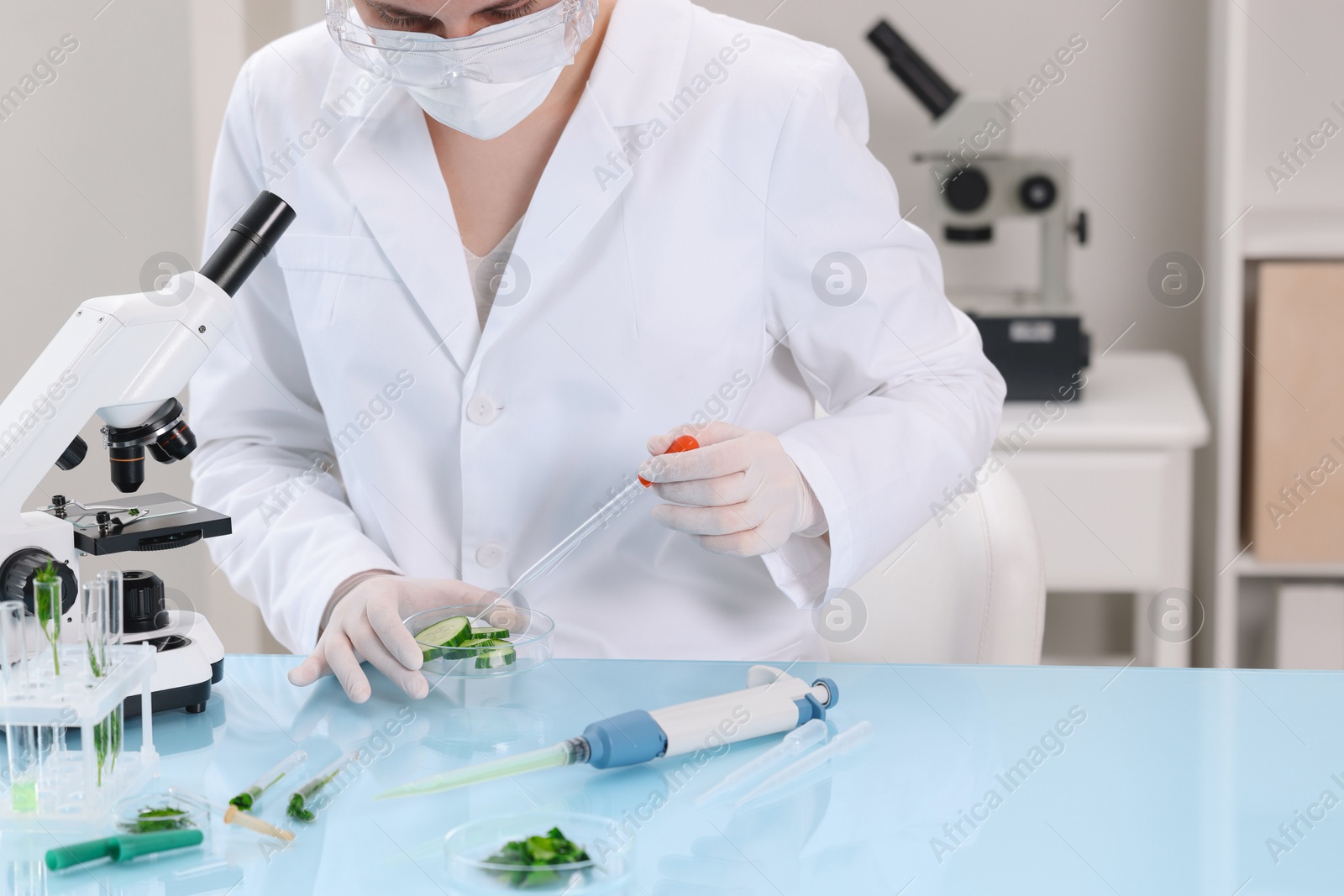 Photo of Quality control. Food inspector examining cucumber in laboratory