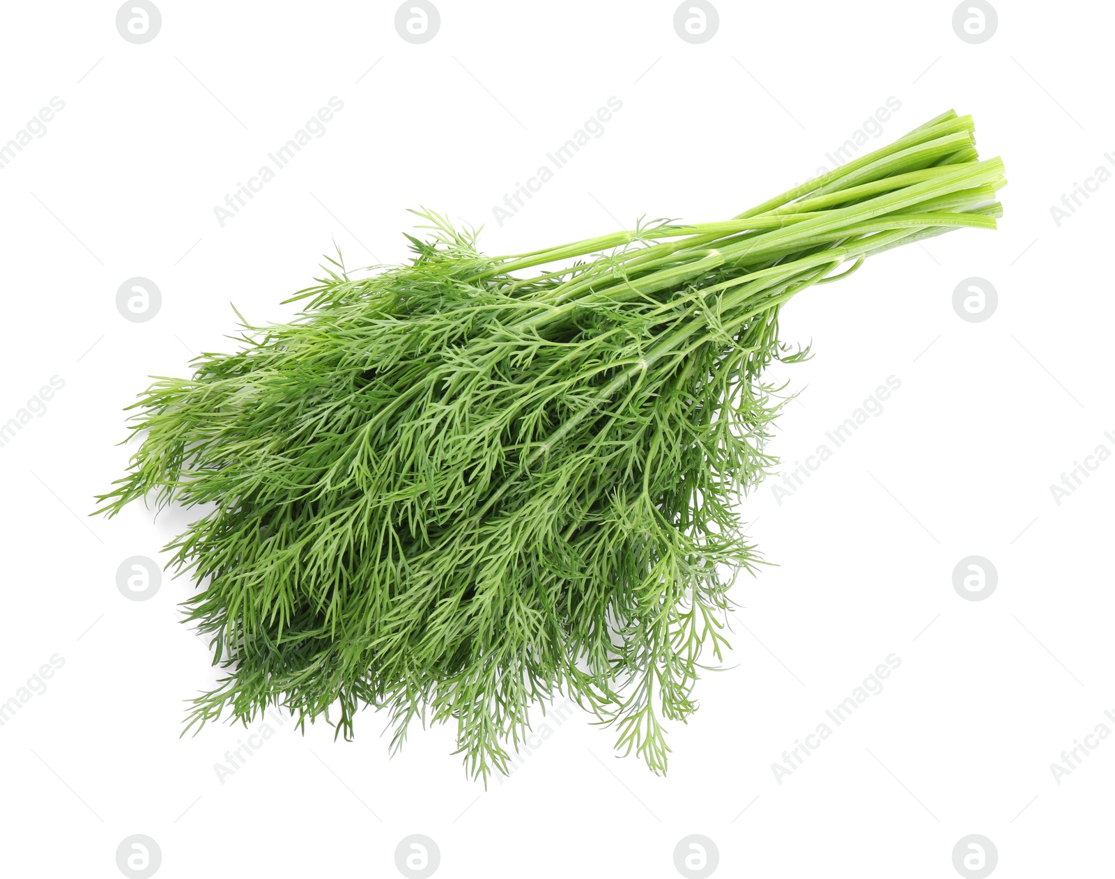 Photo of Fresh green dill branches isolated on white, top view