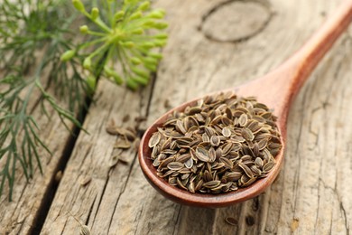 Spoon with dry seeds and fresh dill on wooden table, selective focus