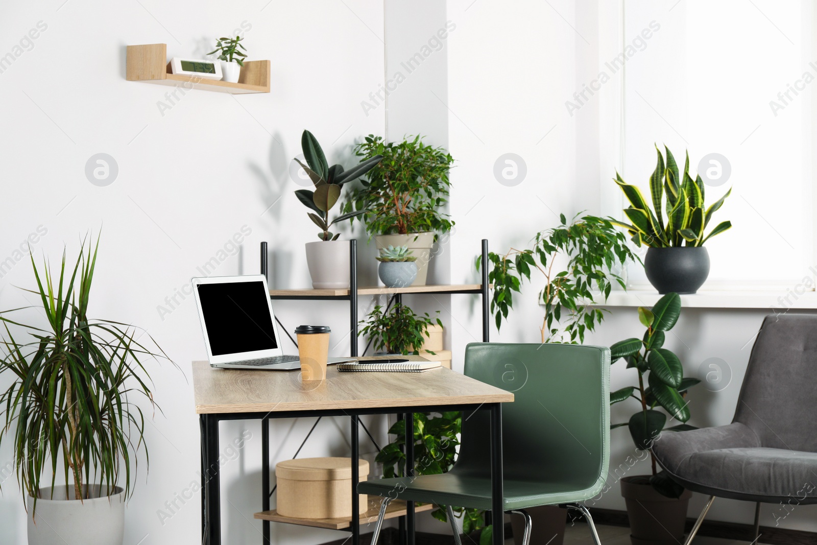 Photo of Beautiful workplace with laptop on wooden table, chair and houseplants in room