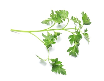 Fresh green organic parsley on white background