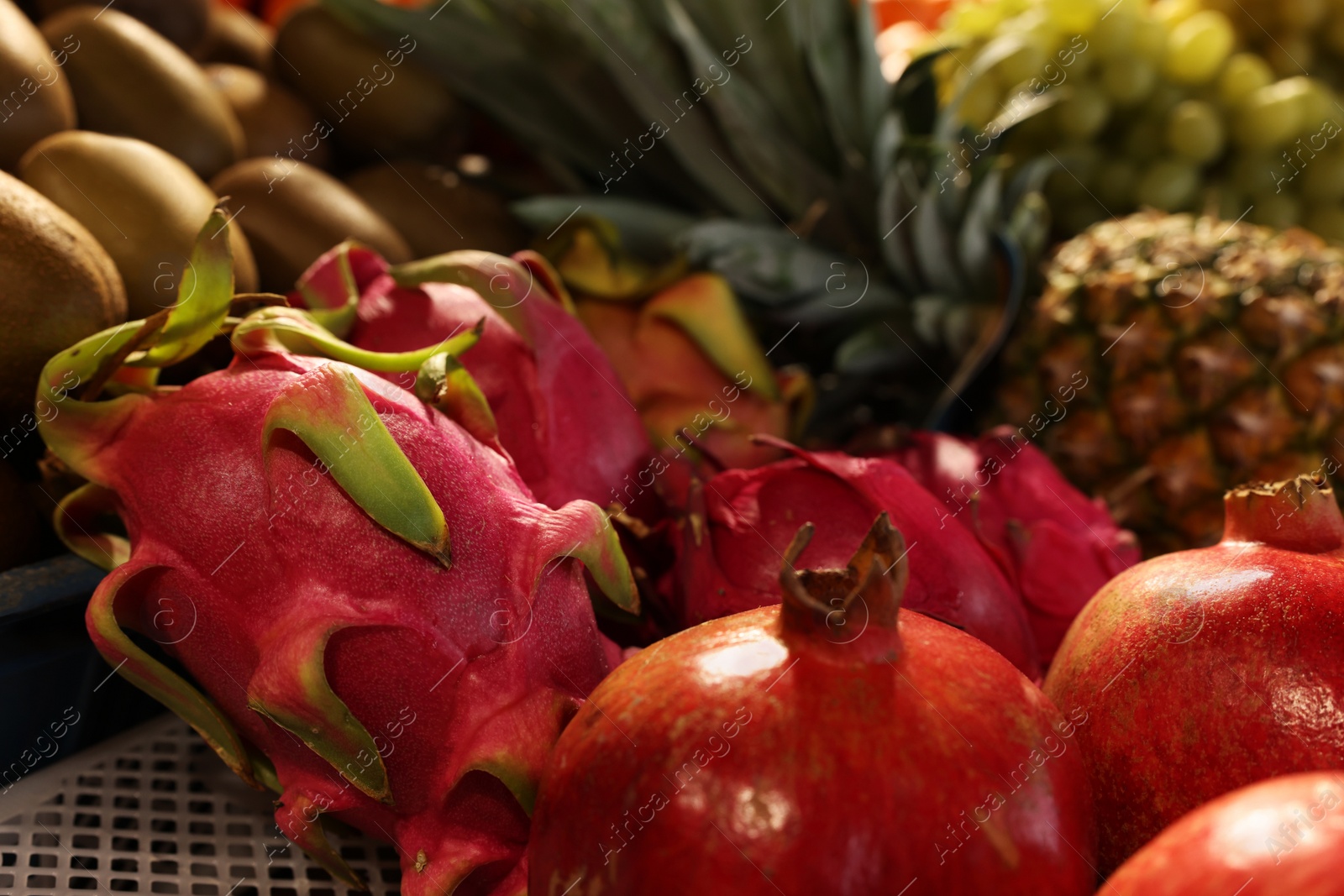 Photo of Many different fresh fruits on counter at market, closeup