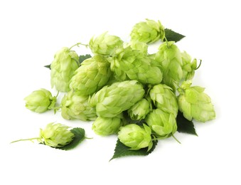 Photo of Pile of fresh green hops on white background, above view