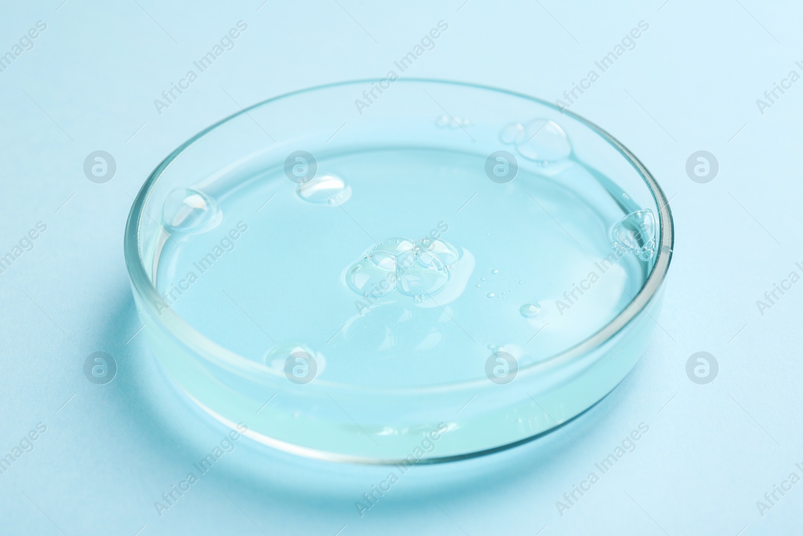 Photo of Petri dish with liquid sample on light blue background, closeup