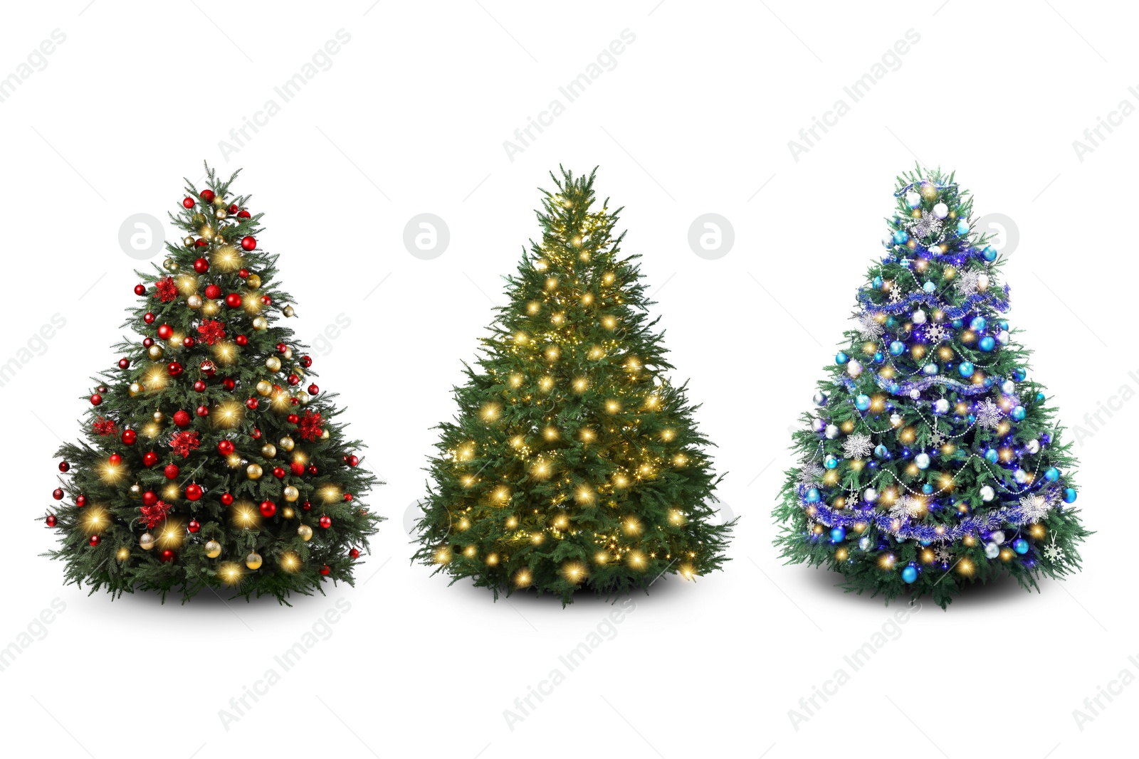 Image of Christmas trees decorated with ornaments and festive lights isolated on white, set