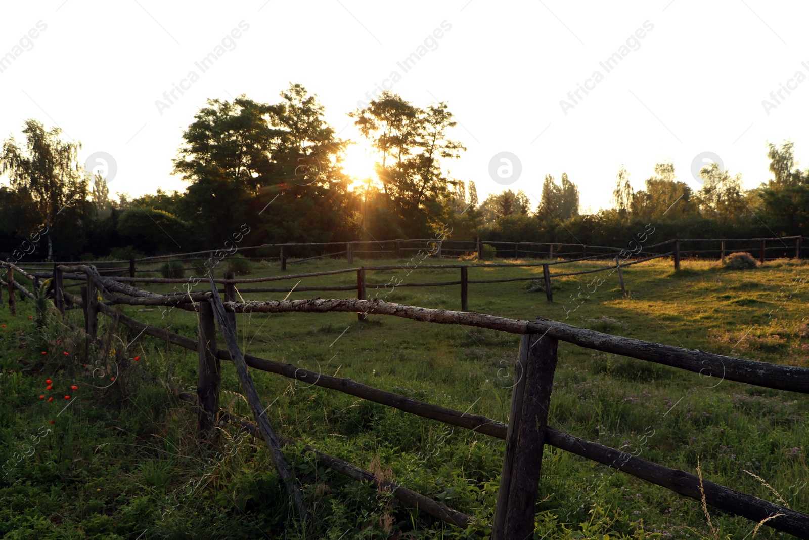 Photo of Picturesque view of countryside with wooden fence in morning