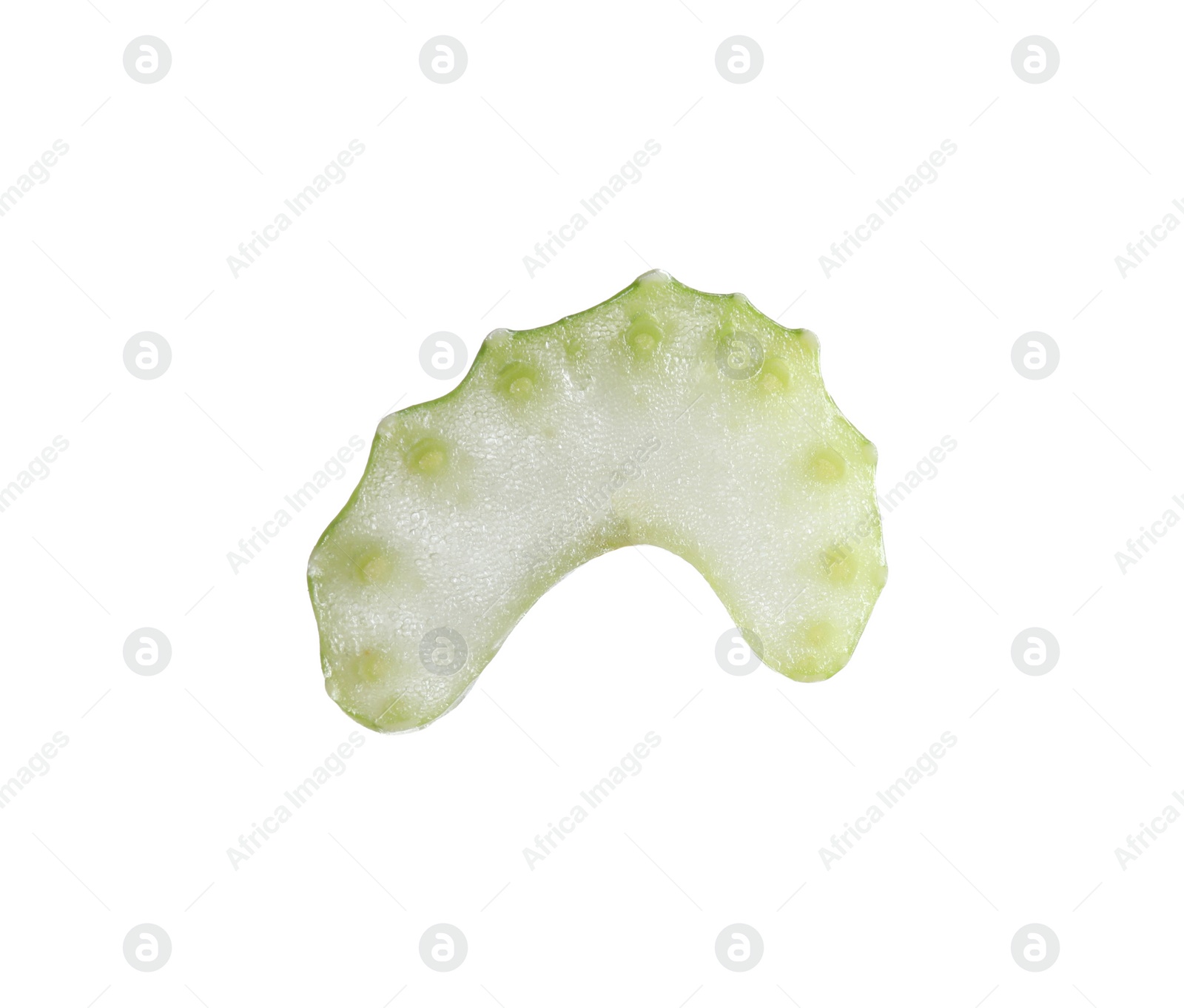 Photo of Piece of fresh ripe celery isolated on white