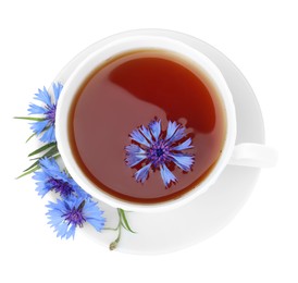 Photo of Cornflower tea and fresh flowers on white background, top view