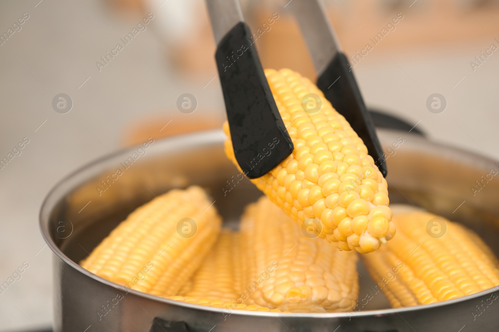 Photo of Putting raw corn cob into stewpot, closeup