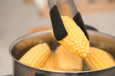 Putting raw corn cob into stewpot, closeup