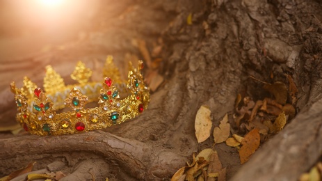 Photo of Beautiful golden crown on tree roots outdoors. Fantasy item