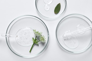 Photo of Petri dishes with samples of cosmetic oil, pipette and flowers on white background, flat lay