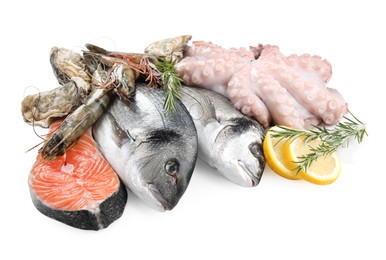 Photo of Fresh dorado fish, octopus, shrimps, oyster and salmon on white background