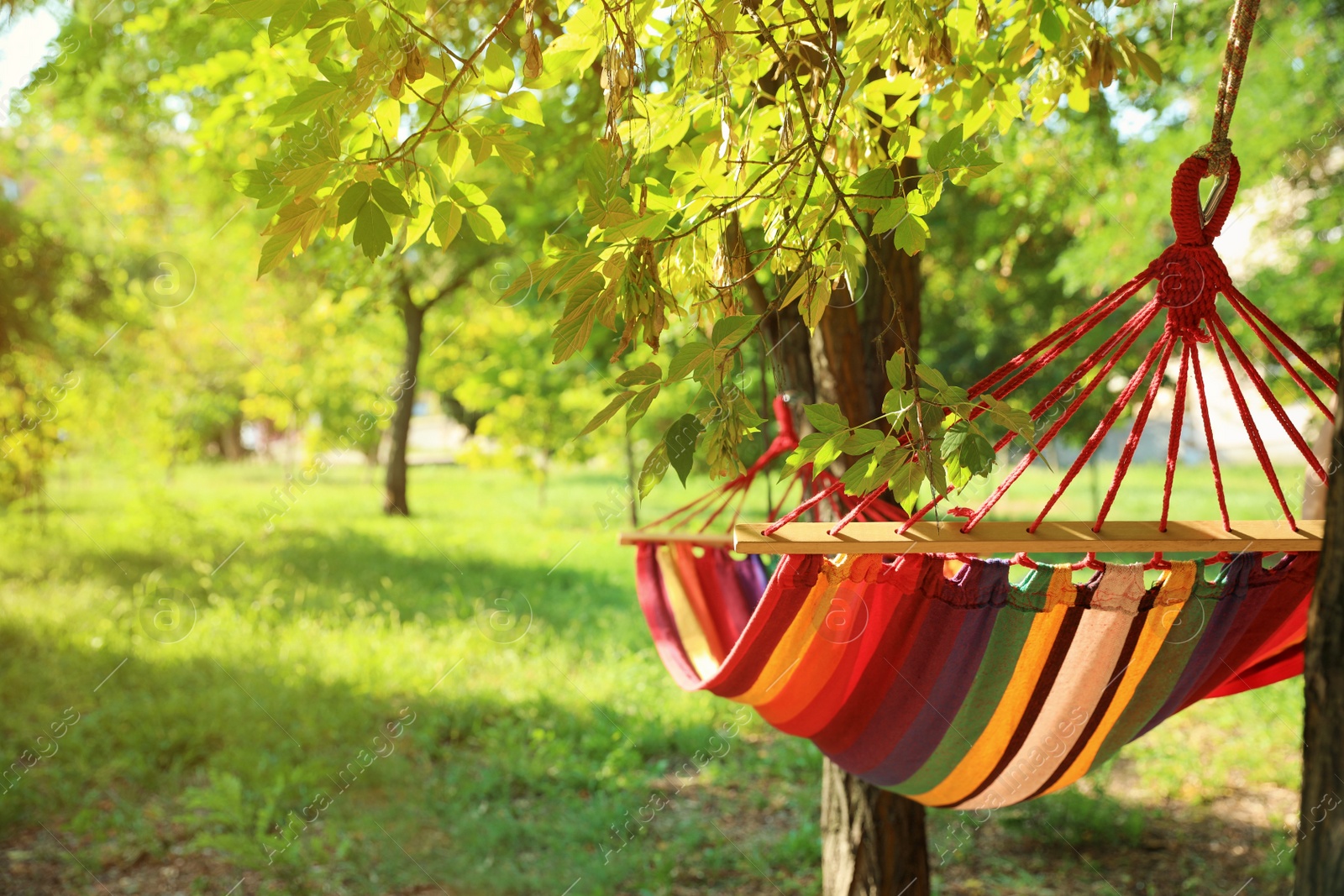 Photo of Bright comfortable hammock hanging in green garden