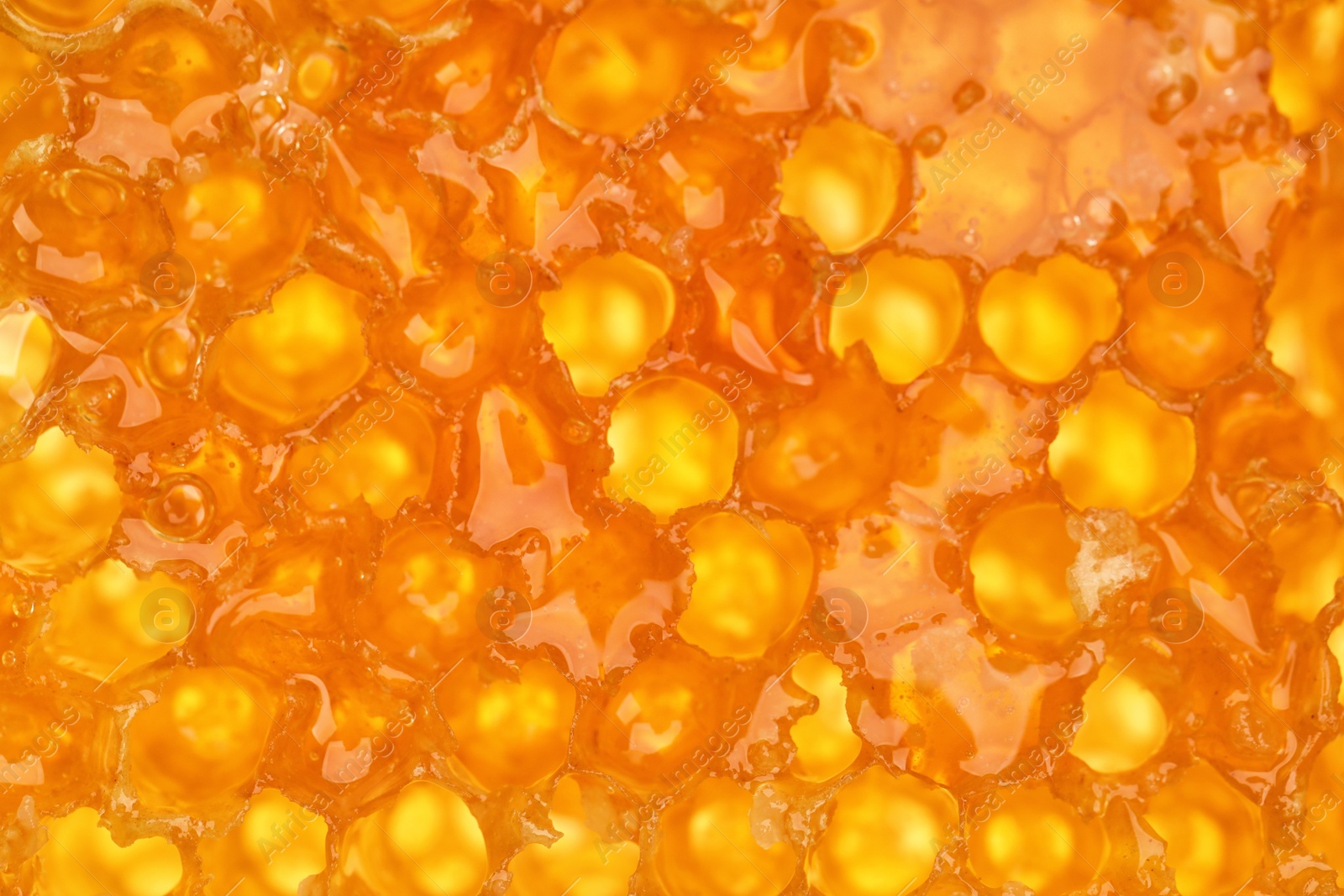 Photo of Closeup view of fresh honeycomb as background