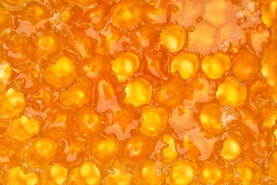 Closeup view of fresh honeycomb as background