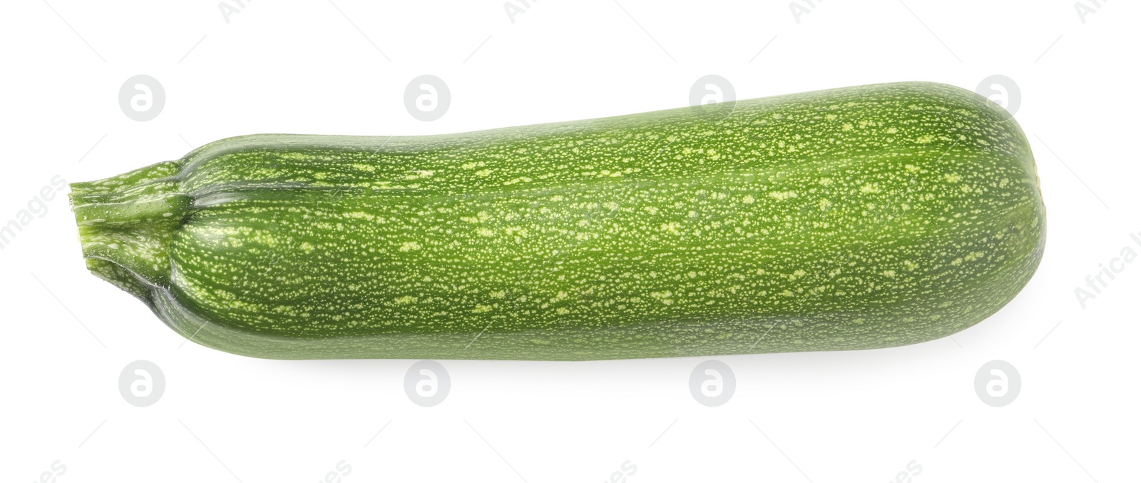 Photo of One raw ripe zucchini isolated on white