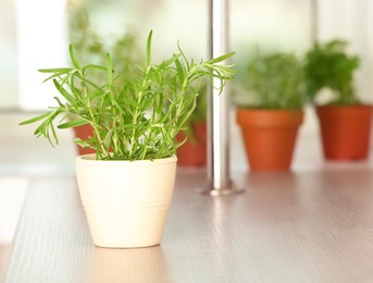 Photo of Pot with fresh rosemary bush on table