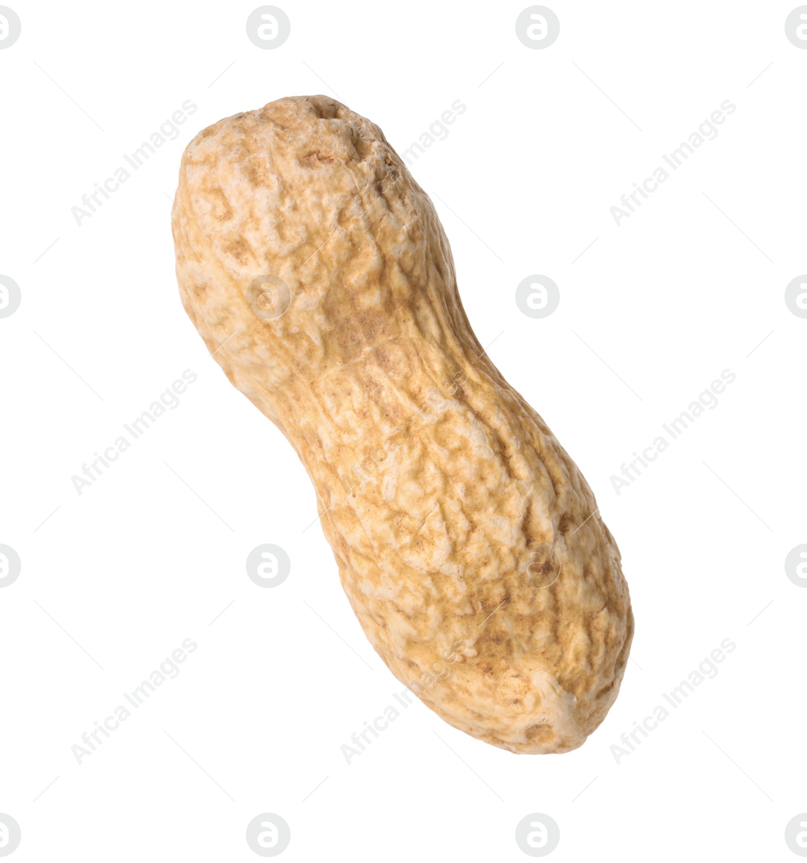 Photo of One fresh unpeeled peanut isolated on white