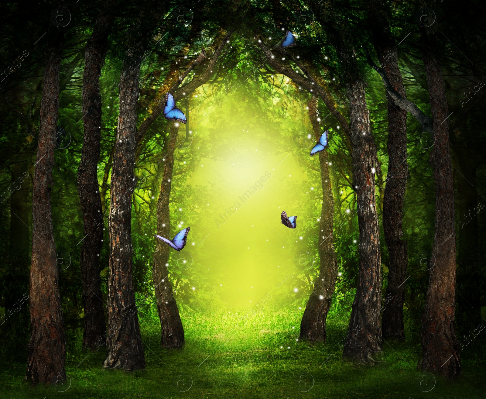 Image of Fantasy world. Enchanted forest with magic lights, beautiful butterflies and way between trees