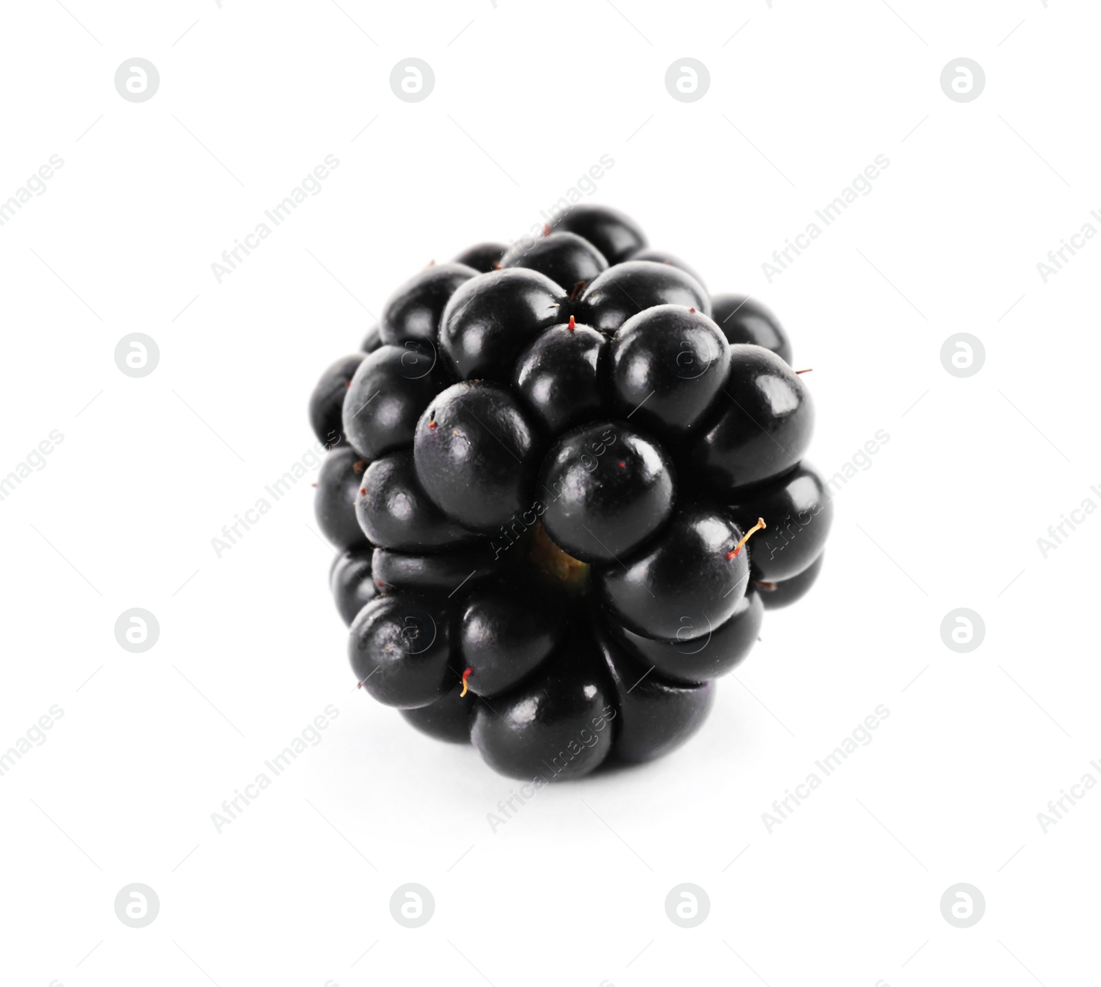 Photo of Beautiful tasty ripe blackberry on white background