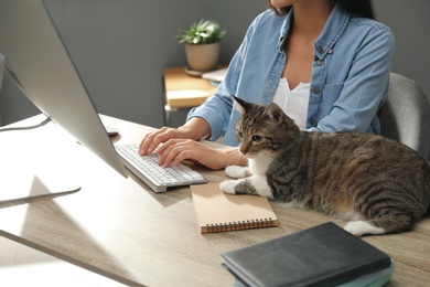 Photo of Young woman with cat working on computer at table, closeup. Home office concept