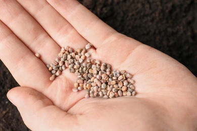 Woman holding pile of radish seeds over soil, closeup. Vegetable planting