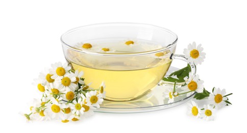 Aromatic herbal tea in glass cup and chamomiles isolated on white