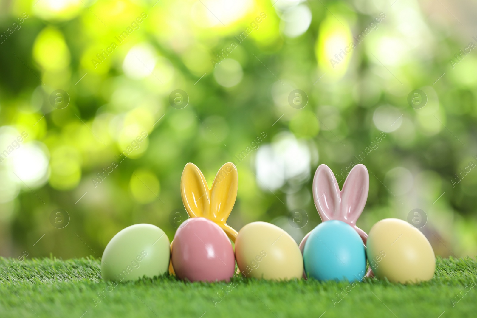 Photo of Dyed Easter eggs and bunny ears on green grass against blurred background. Space for text