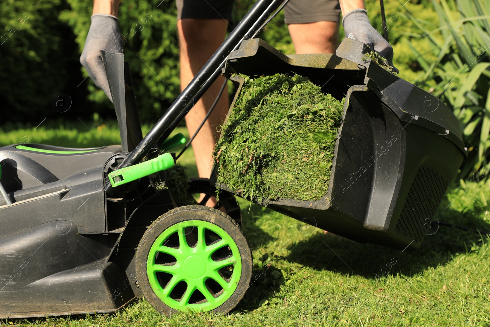 Photo of Man removing grass out of lawn mower box in garden, closeup