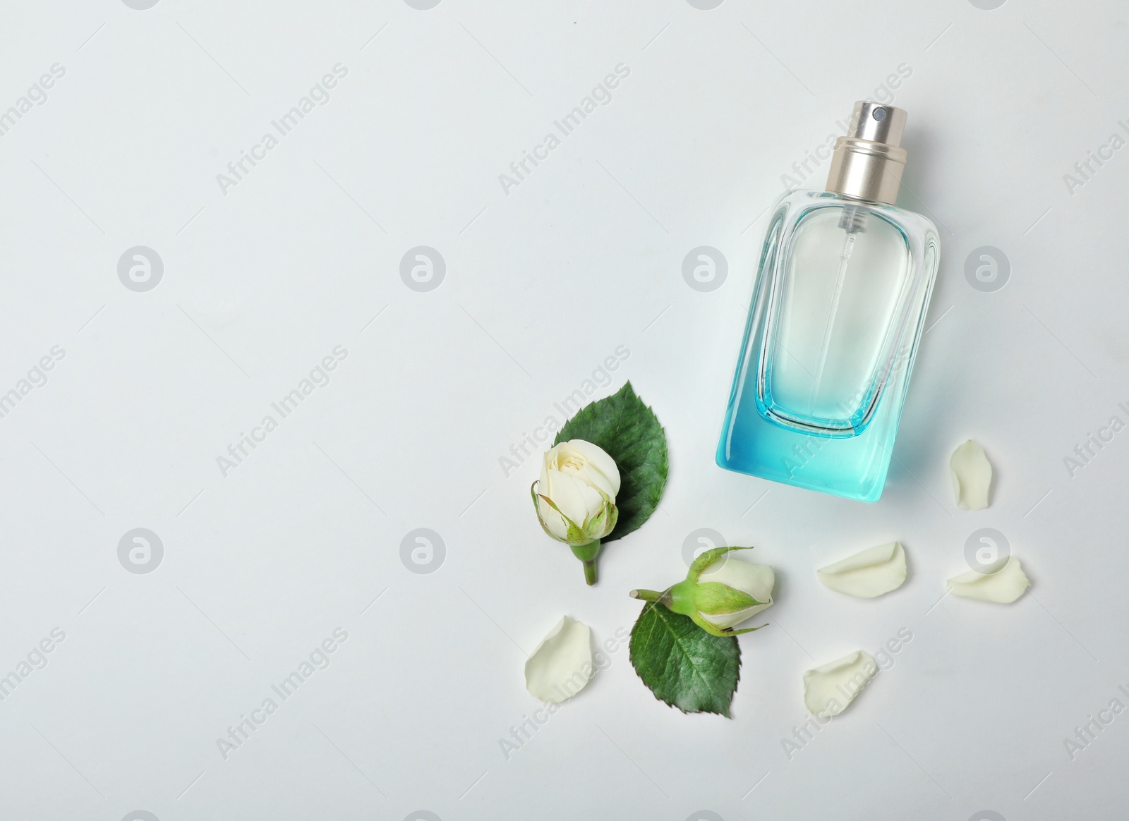 Photo of Transparent bottle of perfume with beautiful roses on white background