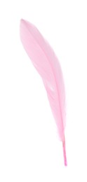 Photo of Fluffy beautiful pink feather isolated on white