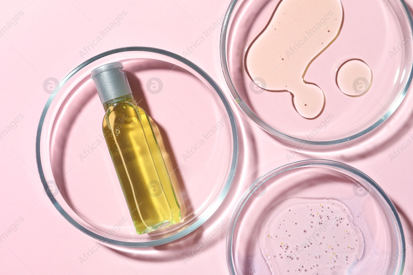 Photo of Many Petri dishes and cosmetic products on pink background, flat lay