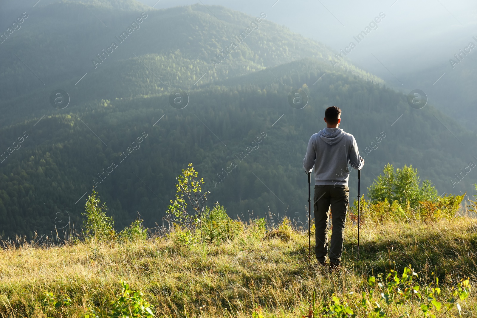 Photo of Man with trekking poles hiking in mountains, back view. Space for text