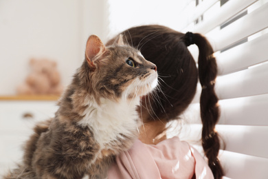 Photo of Little girl holding cute cat near window at home. First pet