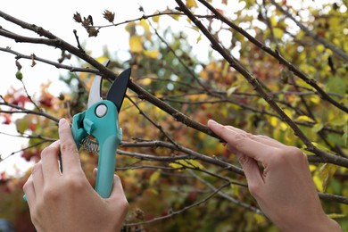 Photo of Woman pruning tree branch by secateurs in garden, closeup