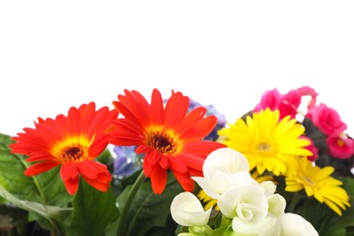 Photo of Different beautiful colorful flowers on white background